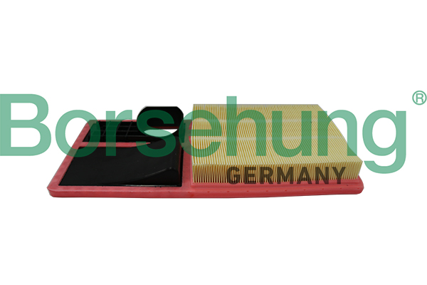Air Filter - B19096 Borsehung