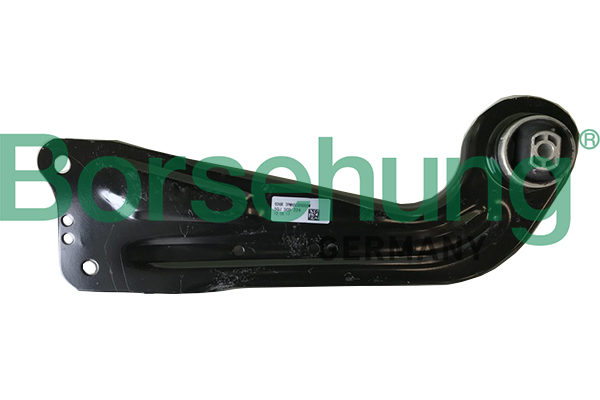 Track Control Arm - B19109 Borsehung