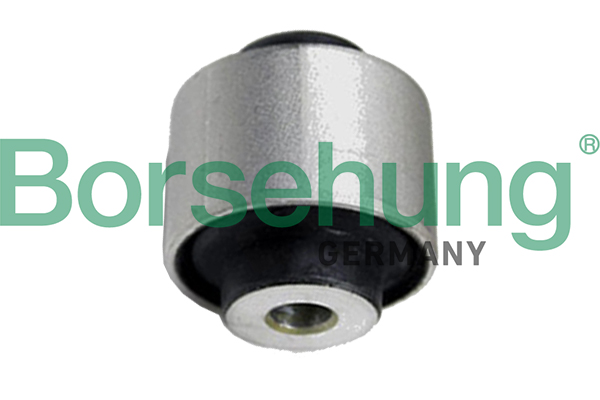 Control Arm-/Trailing Arm Bush - B19111 Borsehung