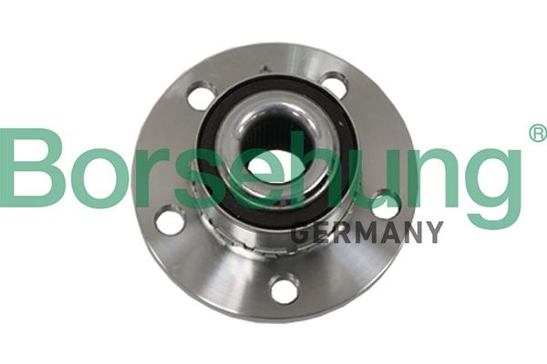 Kit cuscinetto ruota - B19117 Borsehung