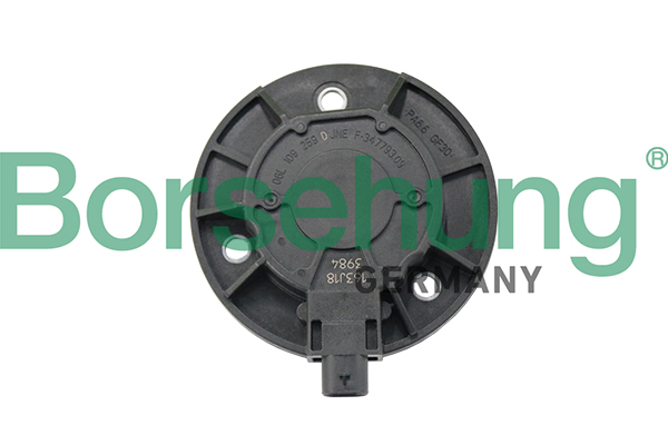 Central Magnet, camshaft adjustment - B19124 Borsehung