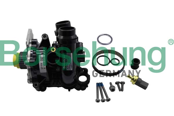 Repair Kit, water pump - B19130 Borsehung