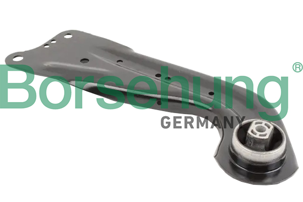 Track Control Arm - B19138 Borsehung