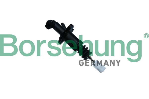 Cilindro trasmettitore, Frizione - B19142 Borsehung