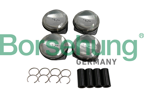 Piston Ring Kit - B19151 Borsehung