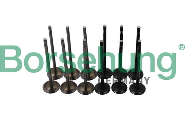 Valve Kit, intake/exhaust valve - B19160 Borsehung