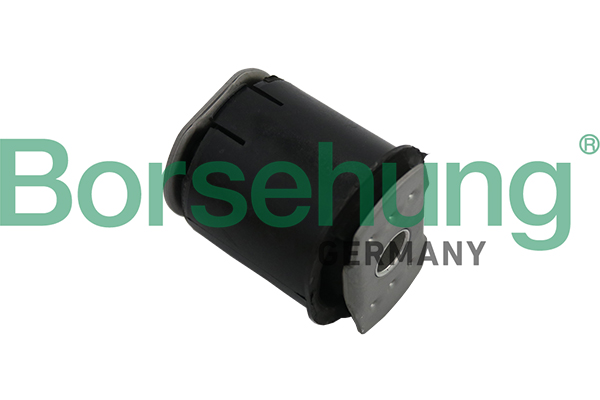 Lagerung, Achskörper - B19161 Borsehung