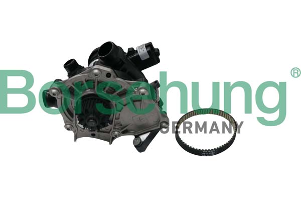 Water Pump - B19205 Borsehung