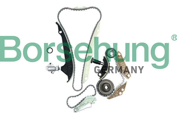 Timing Chain Kit - B19209 Borsehung