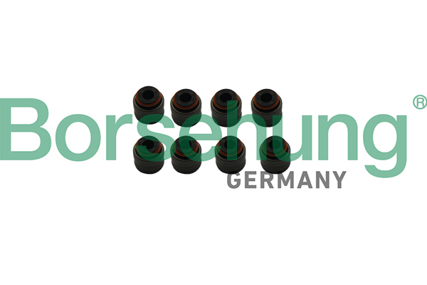 Seal Ring, valve stem - B19240 Borsehung