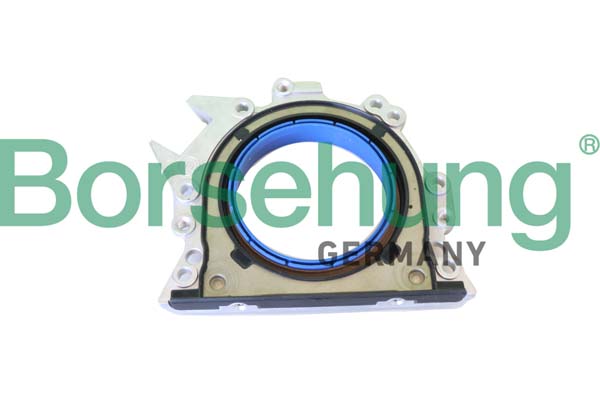Shaft Seal, crankshaft - B19244 Borsehung