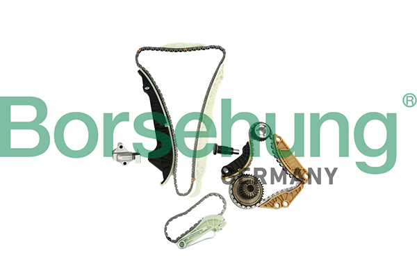 pavaros grandinės komplektas - B19254 Borsehung