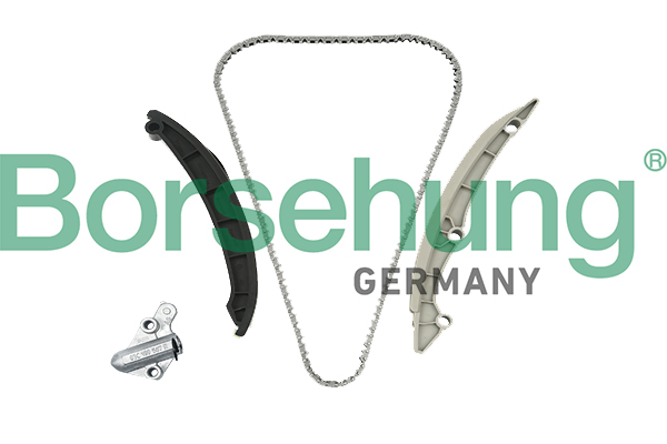 Kit catena distribuzione - B19257 Borsehung