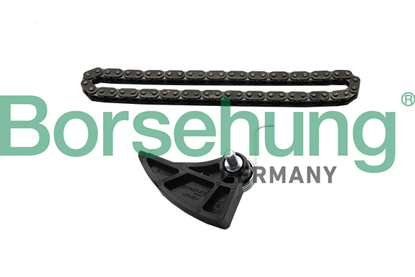 Timing Chain Kit - B19287 Borsehung