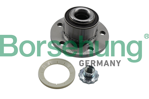 Kit cuscinetto ruota - B19309 Borsehung