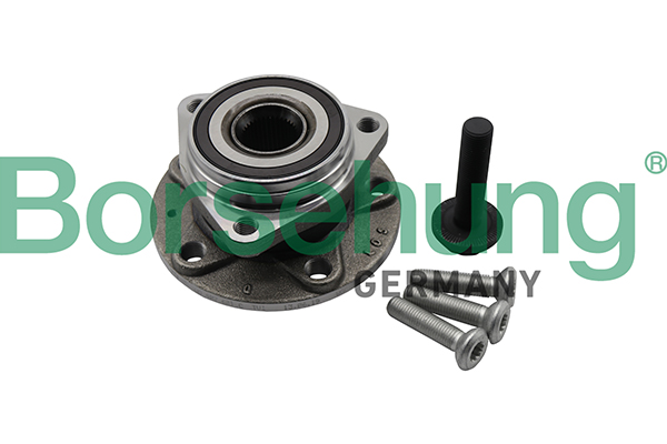 Kit cuscinetto ruota - B19311 Borsehung
