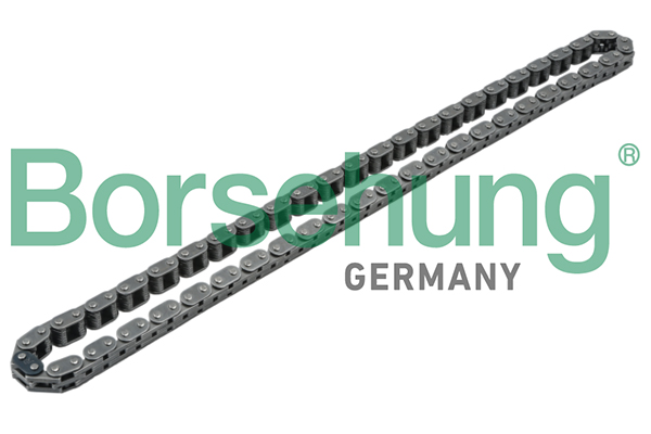 Timing Chain - B1C001 Borsehung