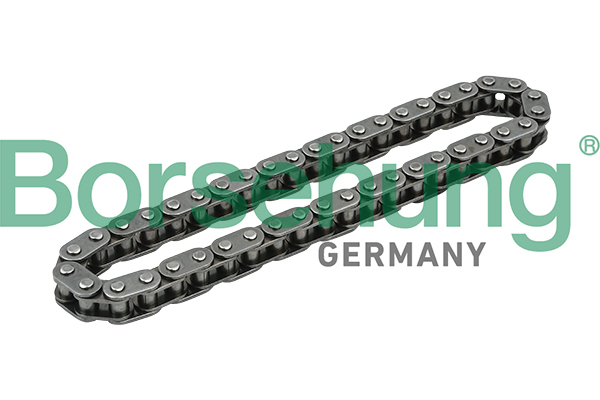 Catena distribuzione - B1C014 Borsehung