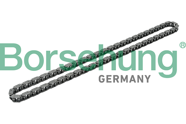Timing Chain - B1C017 Borsehung