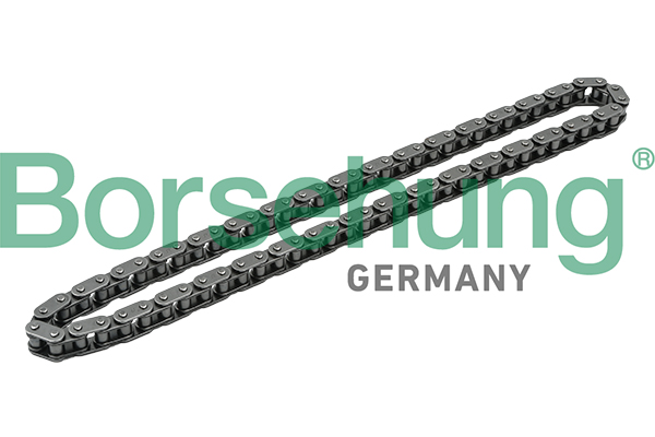 Timing Chain - B1C018 Borsehung