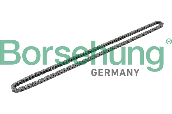 Catena distribuzione - B1C019 Borsehung