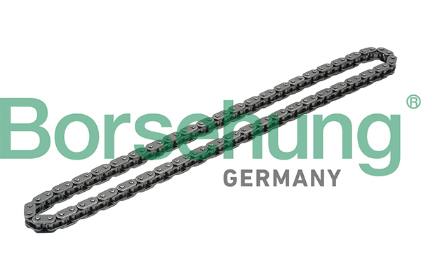 Timing Chain - B1C020 Borsehung