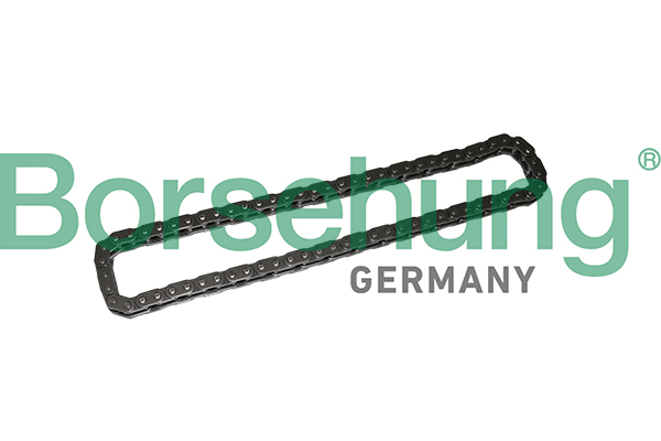 Timing Chain - B1C022 Borsehung
