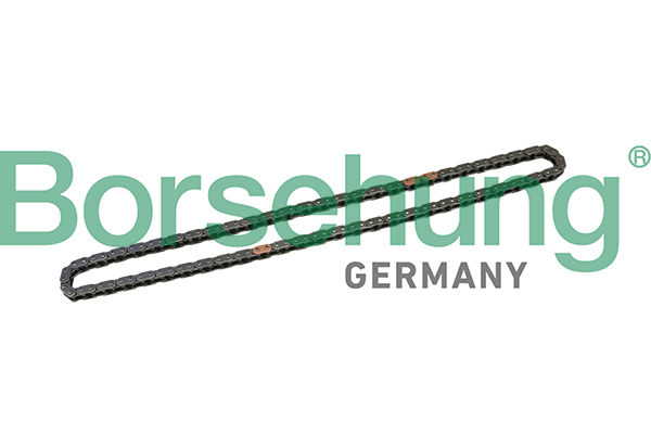 Catena distribuzione - B1C025 Borsehung