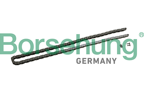 Catena distribuzione - B1C027 Borsehung