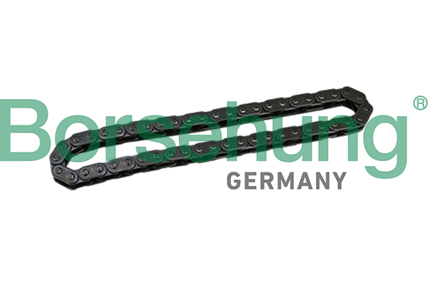 Timing Chain - B1C028 Borsehung