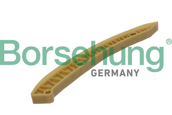 Guides, timing chain - B1G004 Borsehung