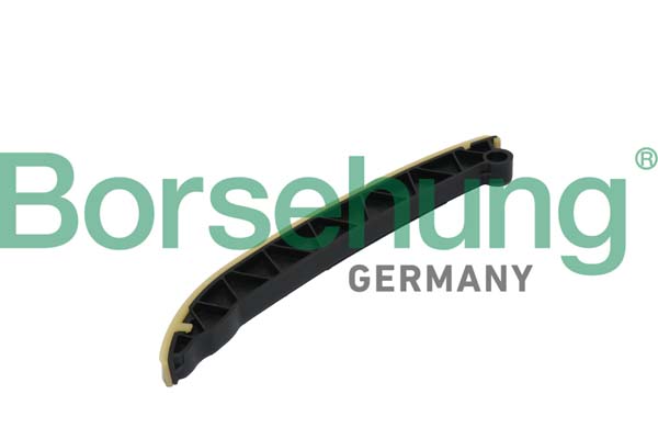 Guides, timing chain - B1G006 Borsehung