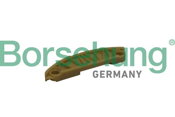 Guides, timing chain - B1G010 Borsehung