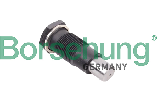 Tensioner, timing chain - B1T005 Borsehung