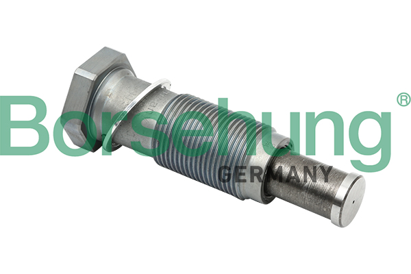Натяжитель, цепь привода - B1T012 Borsehung