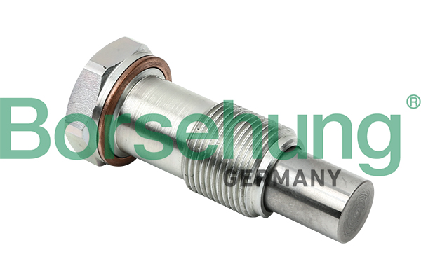 Tensioner, timing chain - B1T014 Borsehung