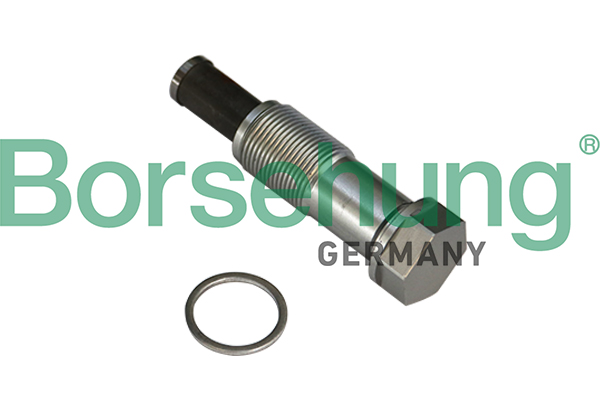 Tenditore, Catena distribuzione - B1T020 Borsehung