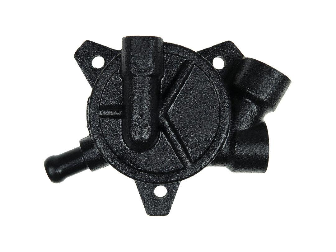 Repair Set, vacuum pump (braking system) - P2007S AS-PL