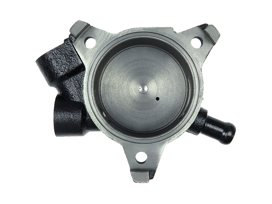 Repair Set, vacuum pump (braking system) - P2007S AS-PL