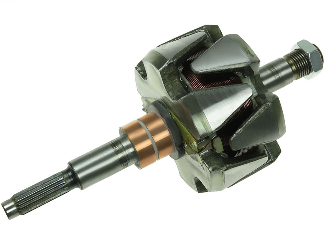 Rotor, alternator - AR4001 AS-PL
