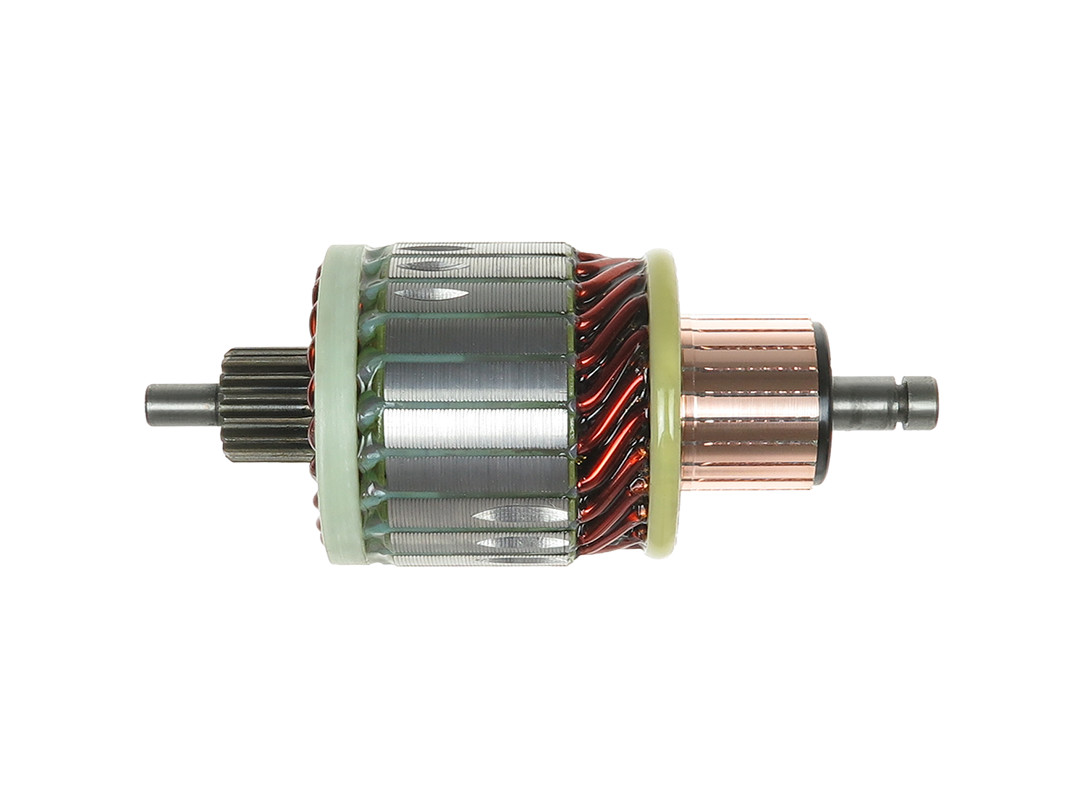 Ancorina, Starter - SA0038 AS-PL