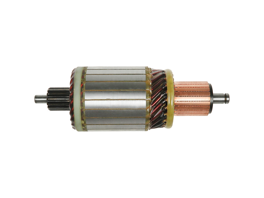 Ancorina, Starter - SA0069 AS-PL