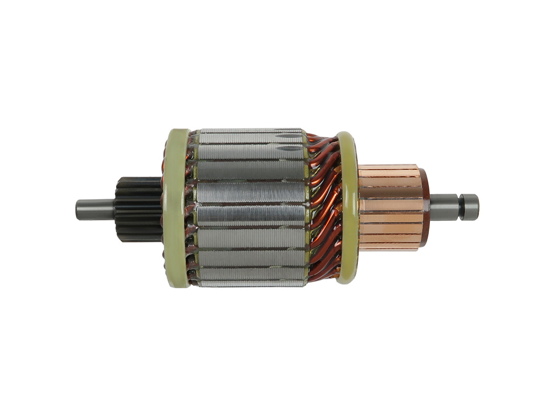 Ancorina, Starter - SA0029 AS-PL
