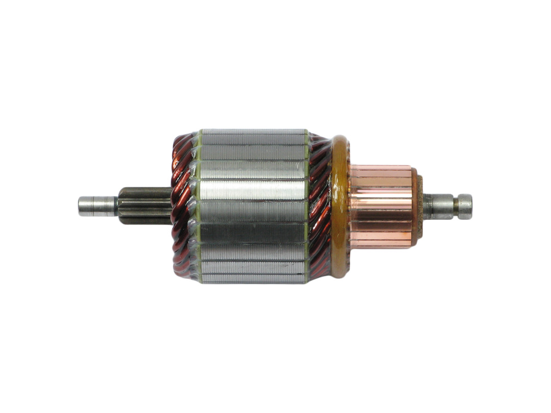 Ancorina, Starter - SA0061 AS-PL