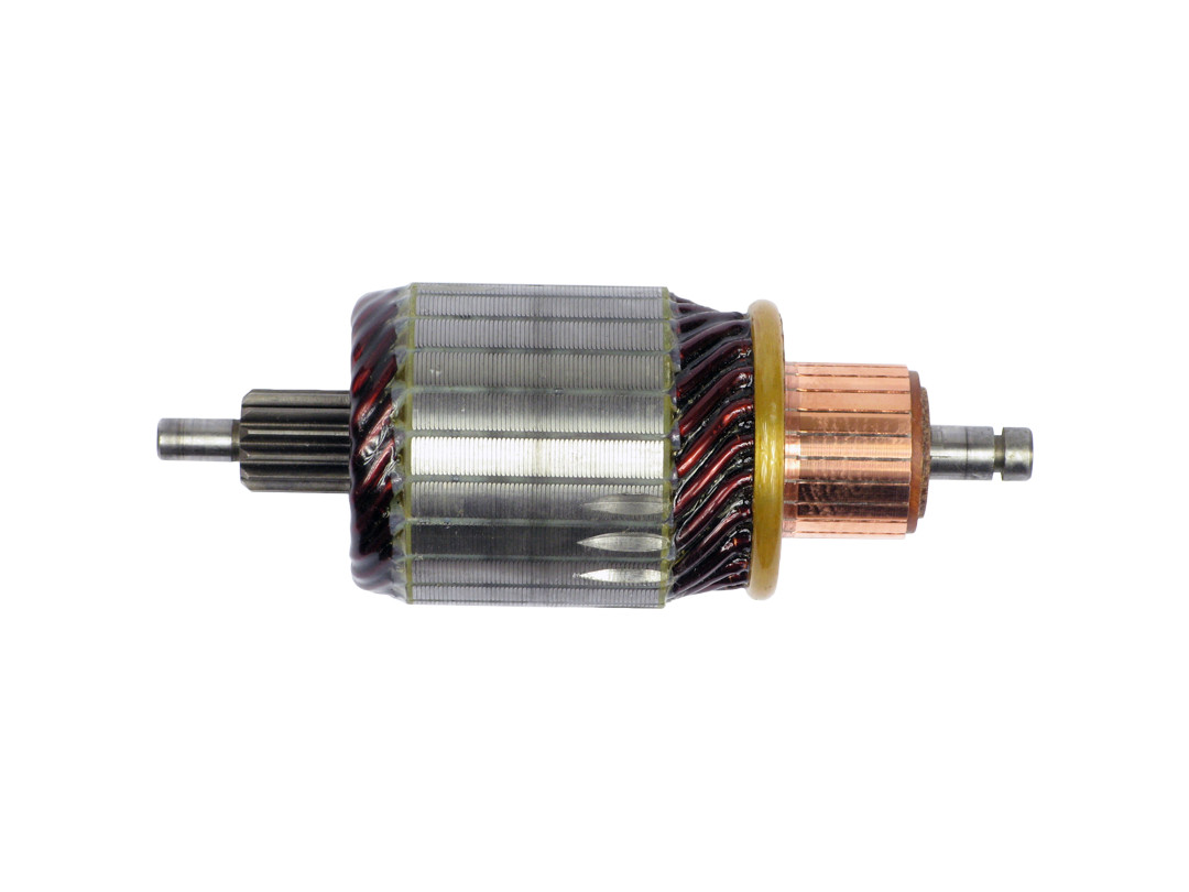 Ancorina, Starter - SA0063 AS-PL