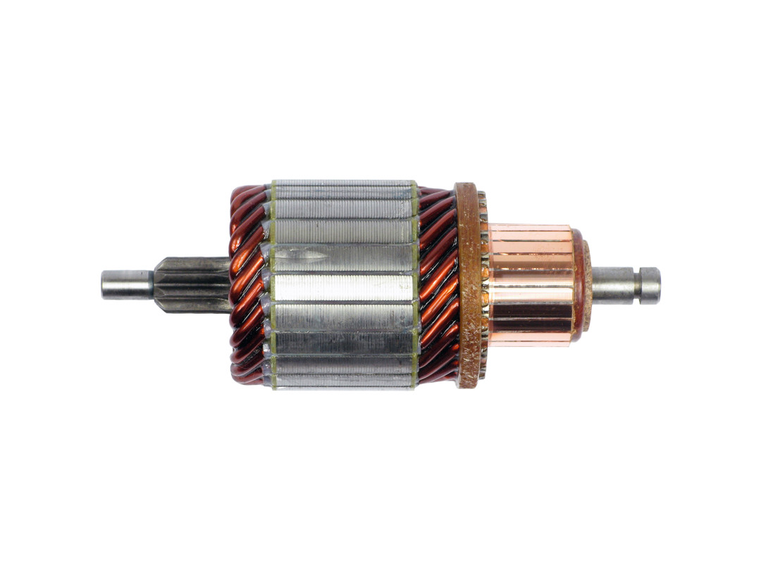 Ancorina, Starter - SA0064 AS-PL