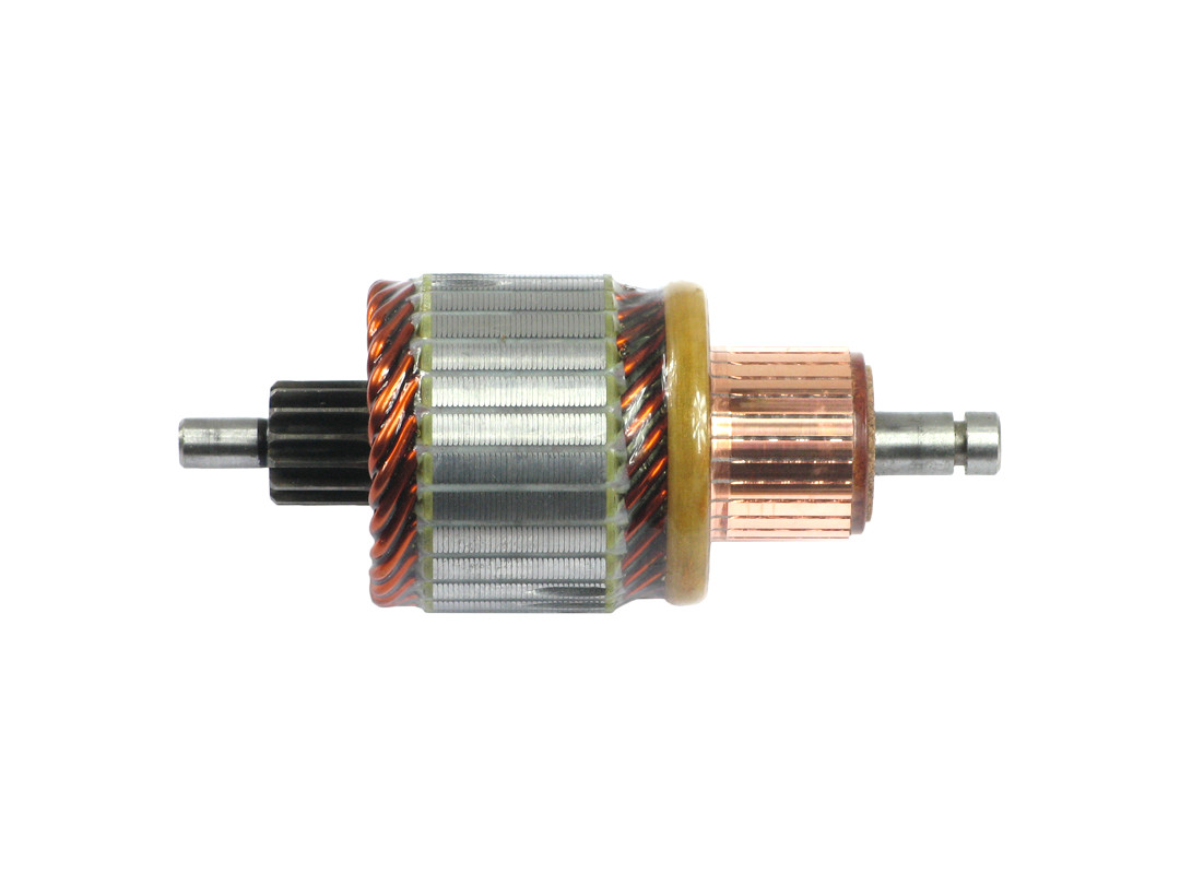 Ancorina, Starter - SA0060 AS-PL