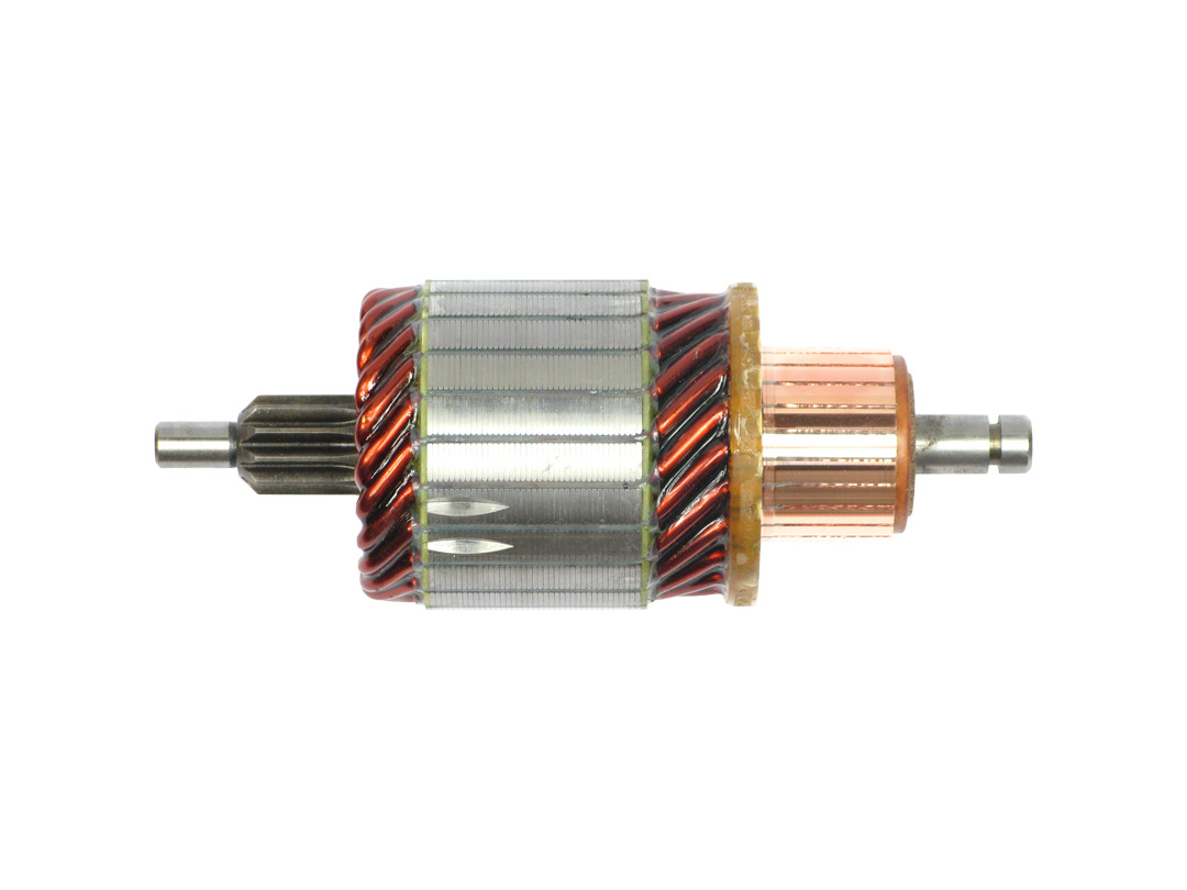 Ancorina, Starter - SA0083 AS-PL