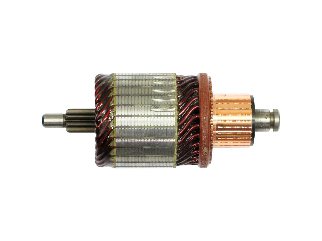 Ancorina, Starter - SA0096 AS-PL