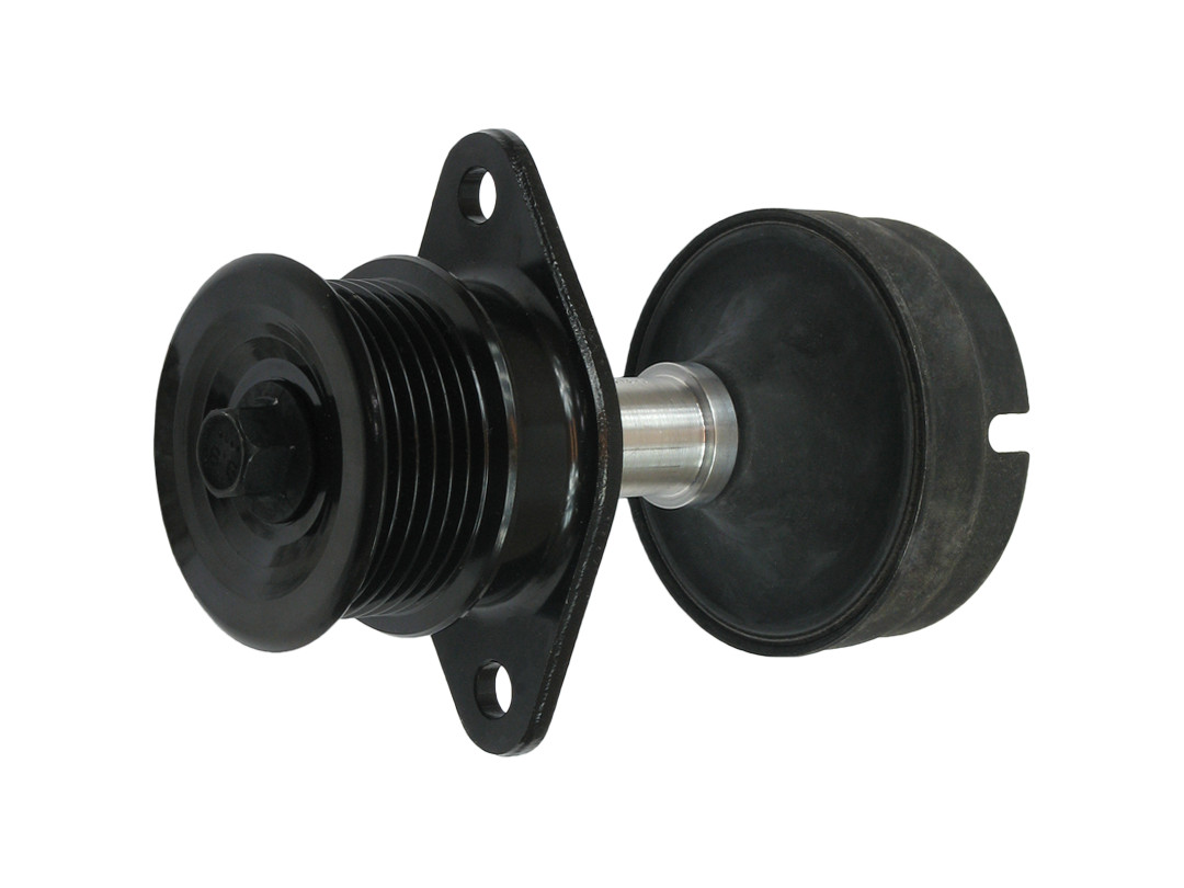 Alternator Freewheel Clutch - AFP4006(LITENS) AS-PL